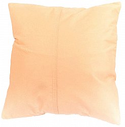 Velvet cushion (cushion cover) 45 x 45 cm