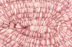 Wool rug - Wellington (pink)