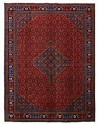 Persian rug Hamedan 281 x 197 cm