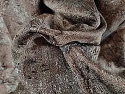 Curtain 140 x 260 cm
