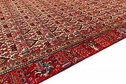 Oriental Rug Hamedan 287 x 186 cm
