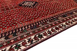 Oriental Rug Hamedan 290 x 195 cm