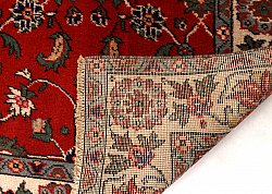 Persian rug Hamedan 269 x 155 cm