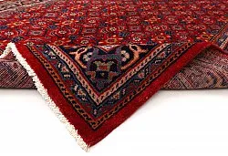 Oriental Rug Hamedan 309 x 133 cm