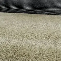Asymmetric Wavy Shaggy Rug - Aranga Super Soft Fur (light green)