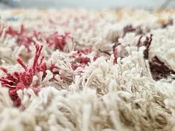 Shaggy rugs - Maloney Natural Cotton Shaggy (multi)