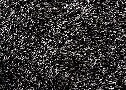 Shaggy rugs - Cosy (anthracite)