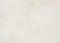 Shaggy rugs - Cosy (white)
