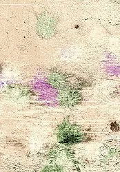 Wilton rug - Dimos (beige/multi)