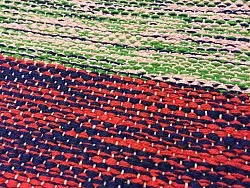 Rag rugs from Strehög of Sweden - Florence (multi)