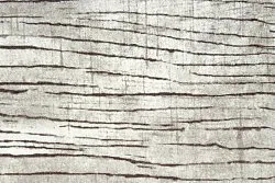 Wilton rug - Uzla (grey)