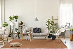 Sisal rugs - Agave (brown-orange)