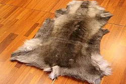 Reindeer skin - XXL # 77