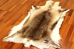 Reindeer skin - XXL # 48