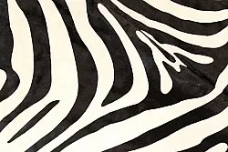 Zebrahide 11
