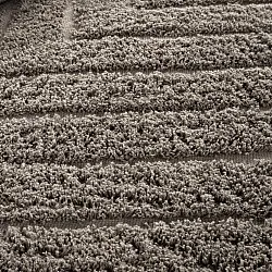 Shaggy rugs - Conara Natural Cotton Shaggy (taupe)