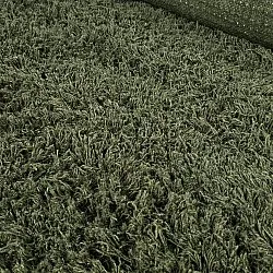 Shaggy rugs - Fassale Hand Woven Wool Shaggy (moss green)