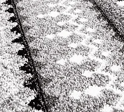 Wilton rug - Elduvik (grey)