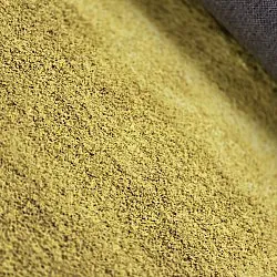 Wilton rug - Bacalar (ocher)