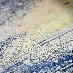 Wilton rug - Dolmio (blue/multi)