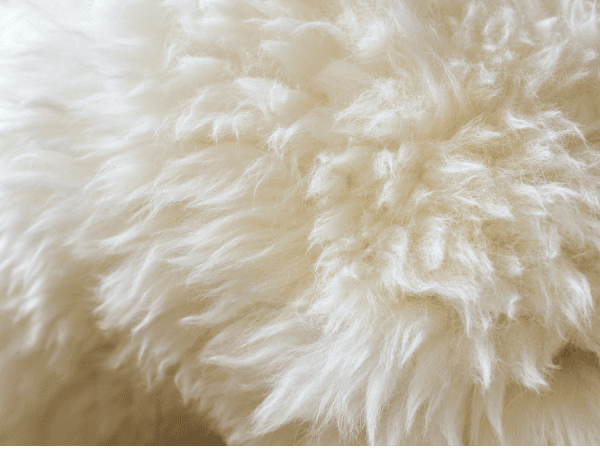 Tvätta fårskinn och lammskinn