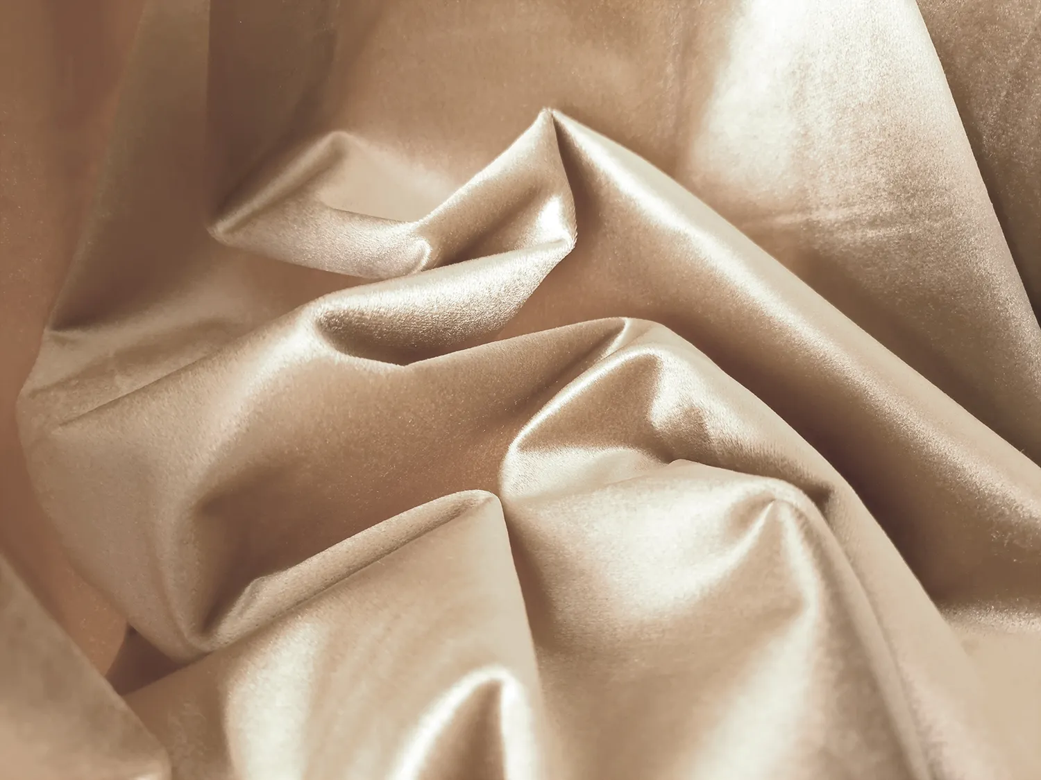 Curtains - Velvet curtains Marlyn (light beige)