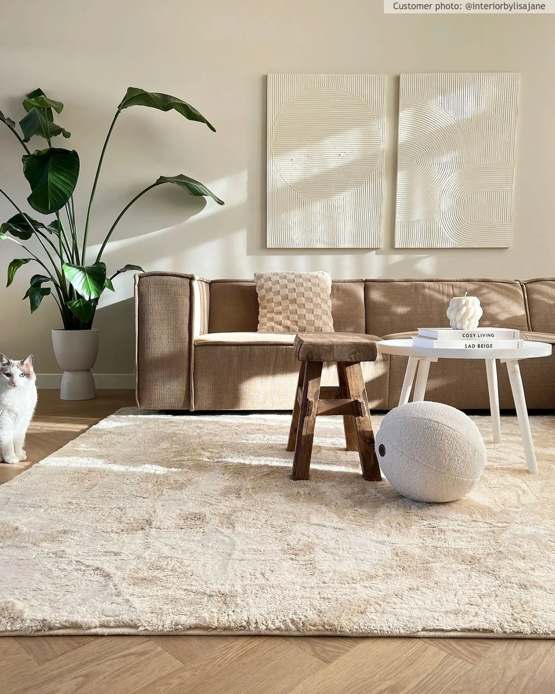 Shaggy rugs - Aranga Super Soft Fur (beige)