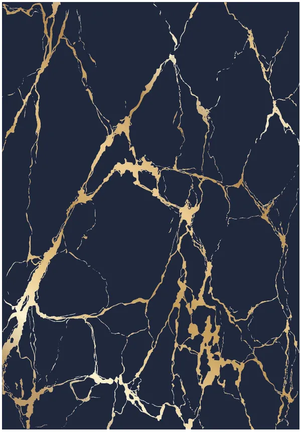 Wilton rug - Cesina (black/gold)