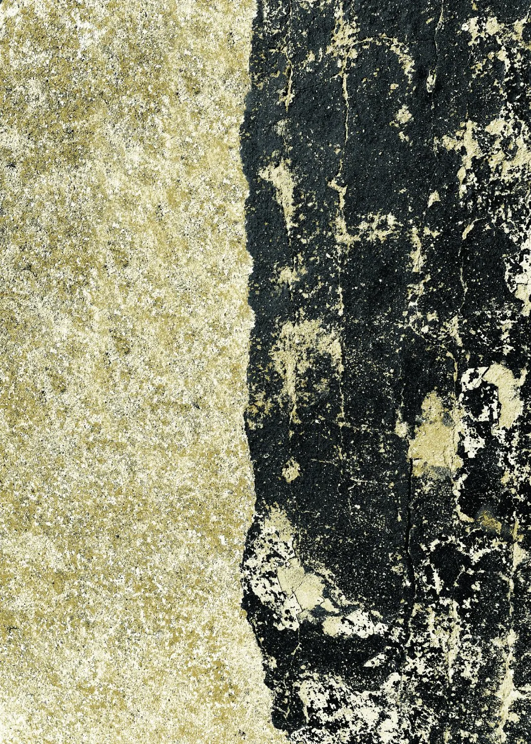 Wilton rug - Cyra (black/gold)