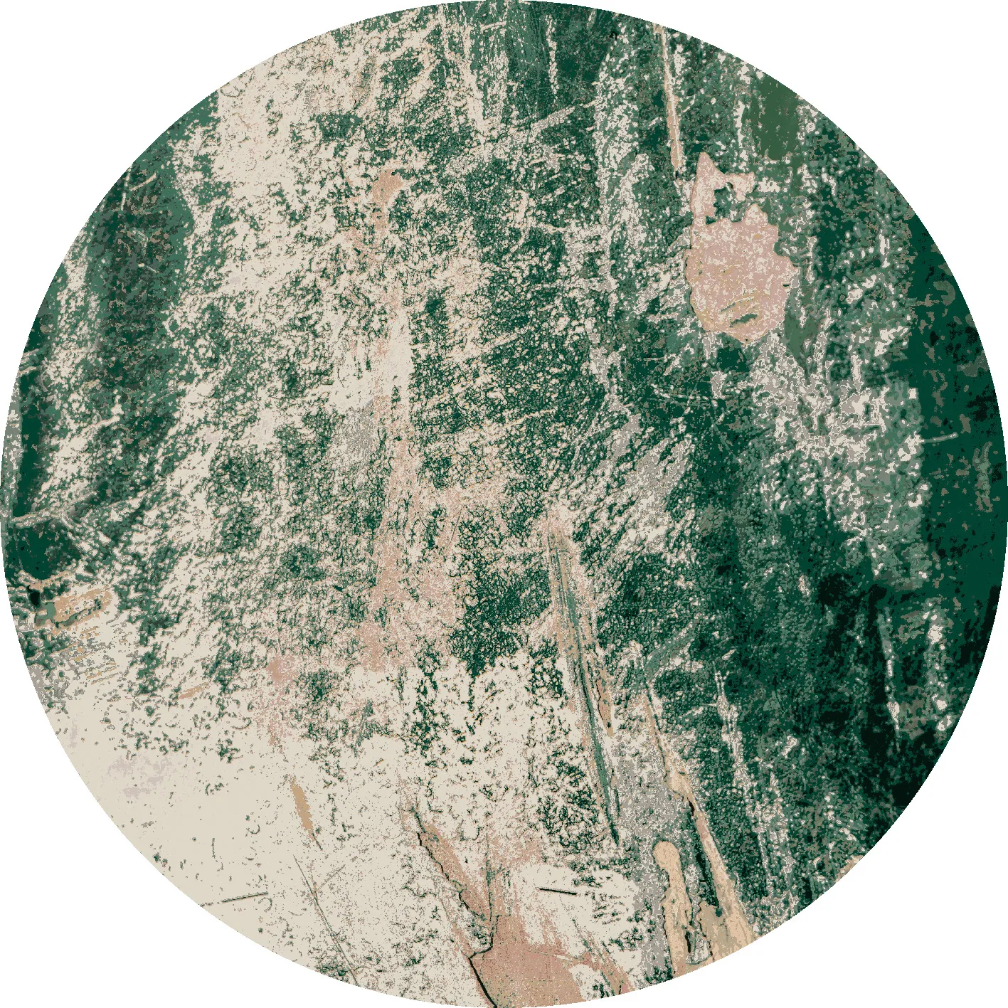 Round rug - Tamalous (beige/green)