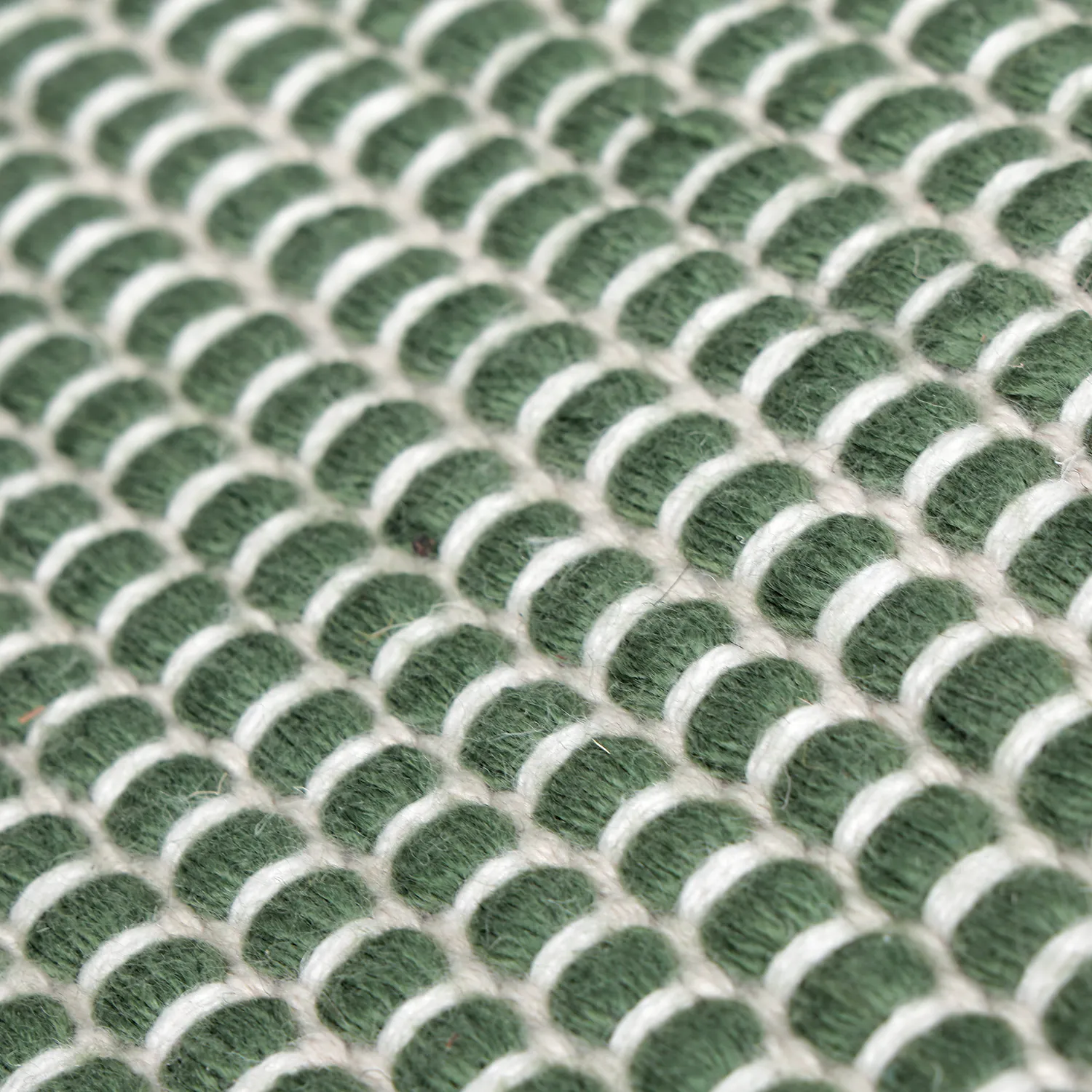 Indoor/Outdoor rug - Coastal Wool Look (green/white)
