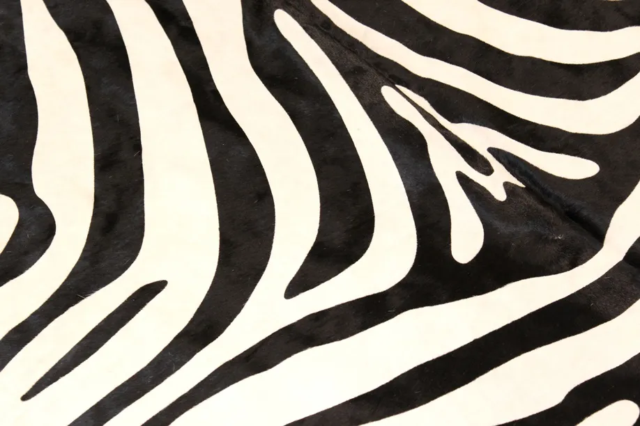 Zebrahide 11