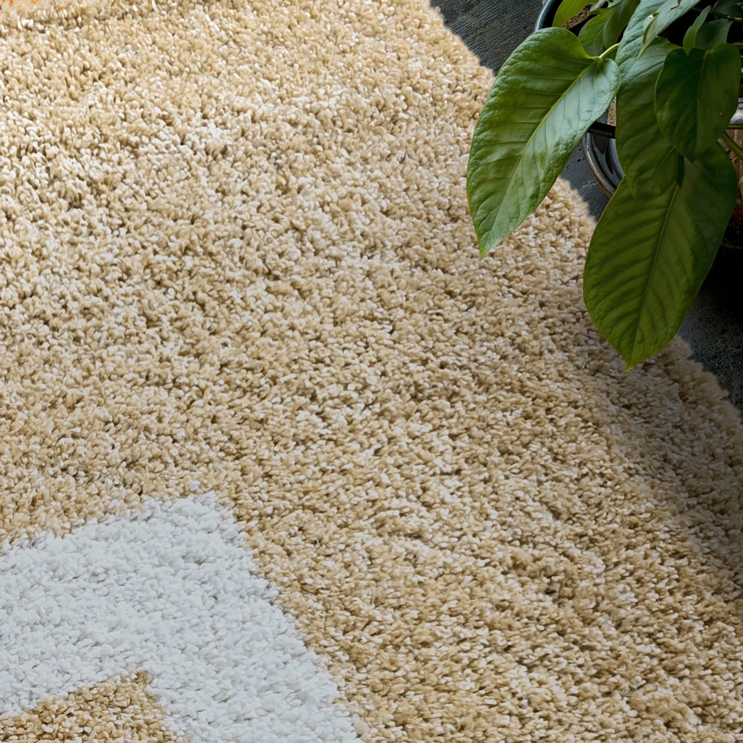 Shaggy rugs - Alsace (beige/white/brown)
