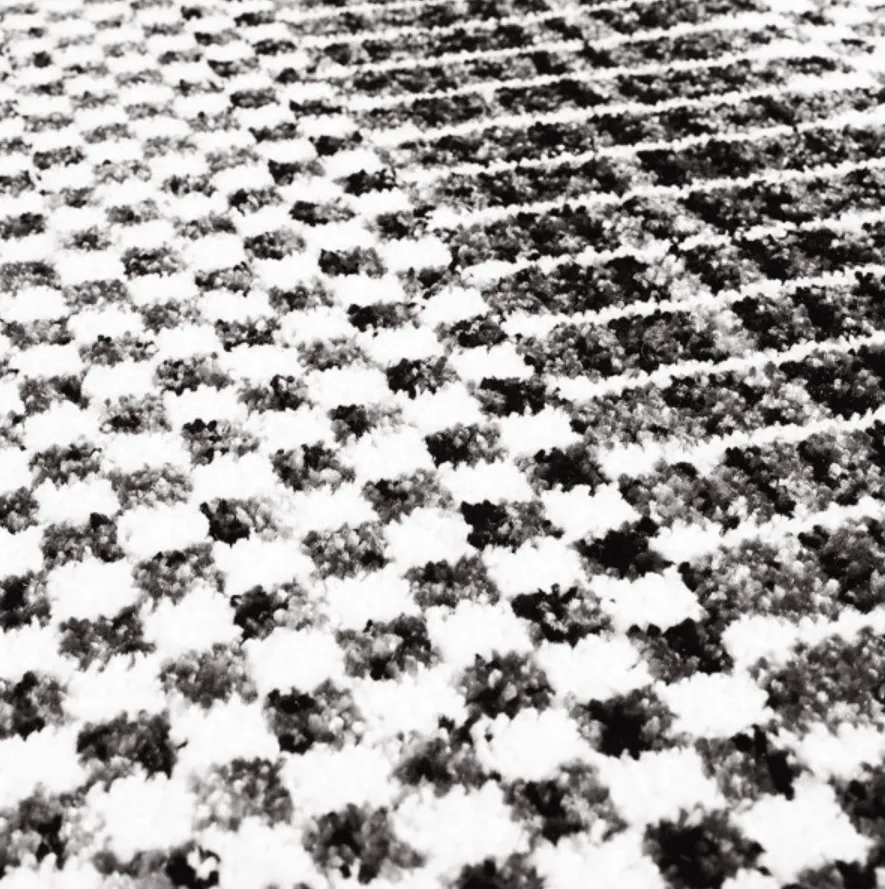 Wilton rug - Renous (grey)