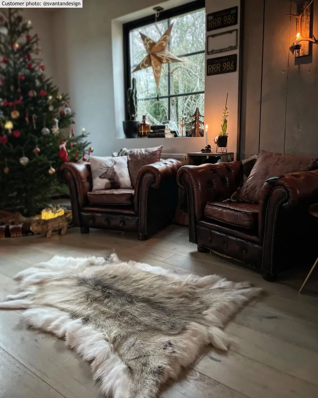 Reindeer skin - XXL # 48